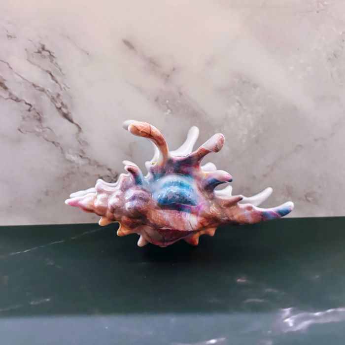 Realistic Conch Shell Hair Claw in Mermaid Colors | Claw Clip Hair Accessories