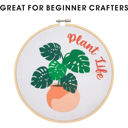 Plant Life Cute Cross-Stitch Kits in Boxes: "This Took Forever", Plant Life, Cactus, Rainbow DIY Giftable Craft Kit with Hoop