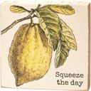 Squeeze the Day Cute and Funny Graphic Wooden Box Signs with Sayings for Gallery Walls