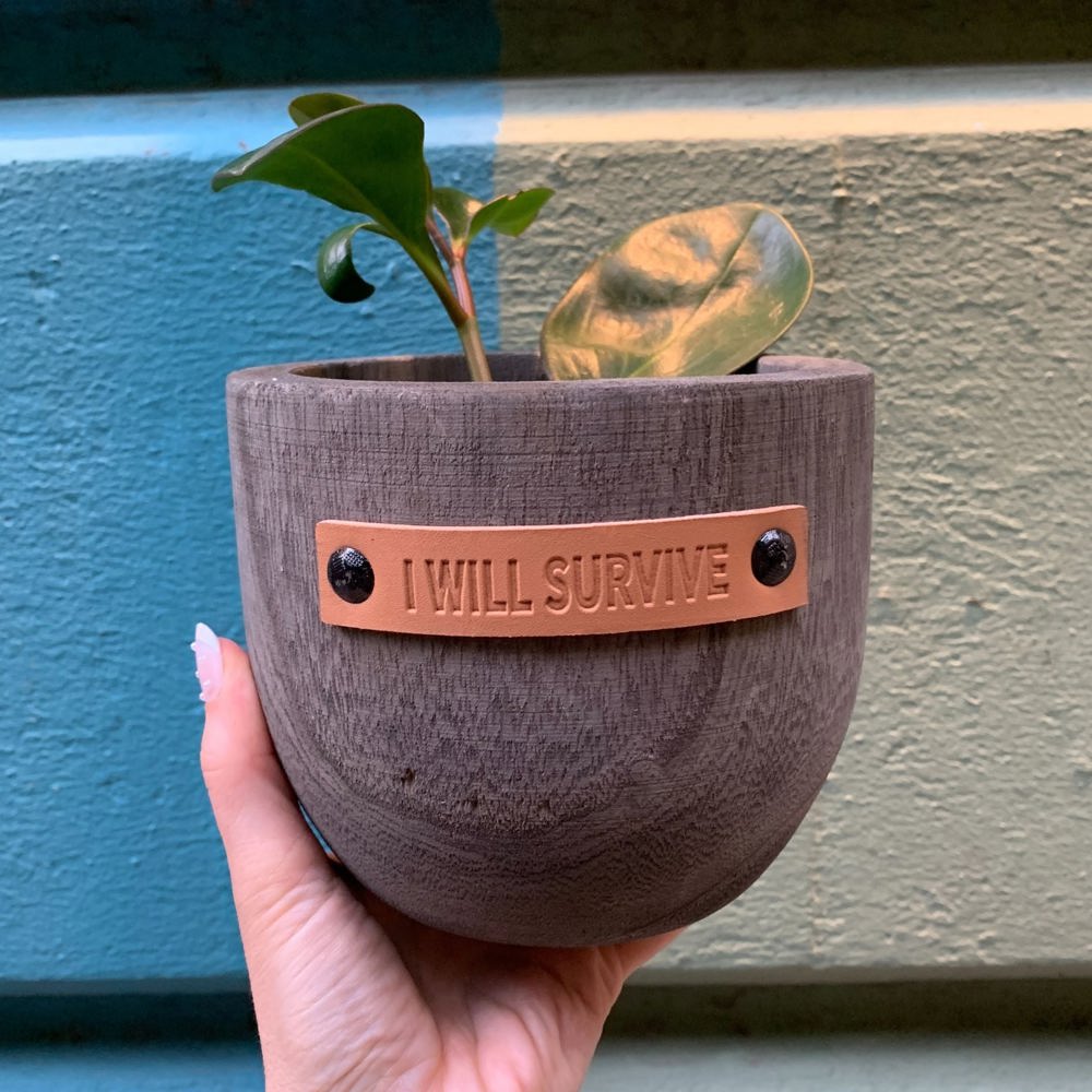 Wood Planters with Cute Sayings on Leather Tags: Late Bloomer, Flower Power, I Will Survive