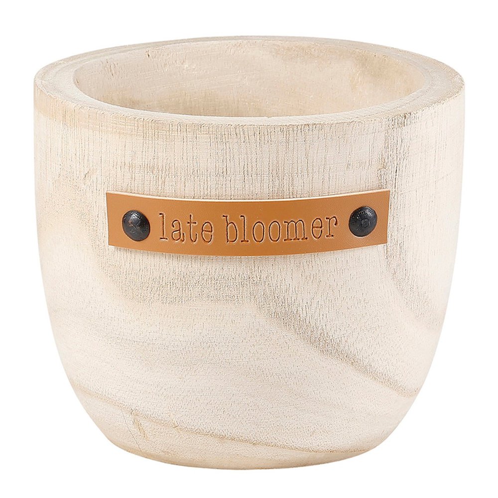 Wood Planters with Cute Sayings on Leather Tags: Late Bloomer, Flower Power, I Will Survive