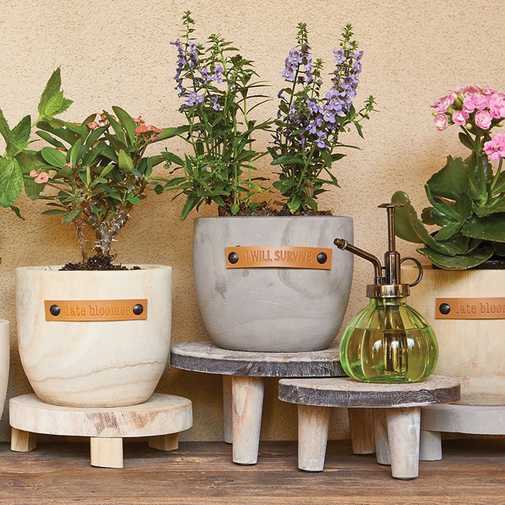 Wood Planters with Cute Sayings on Leather Tags: Late Bloomer, Flower Power, I Will Survive