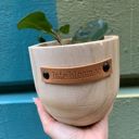 Late Bloomer Wood Planters with Cute Sayings on Leather Tags: Late Bloomer, Flower Power, I Will Survive