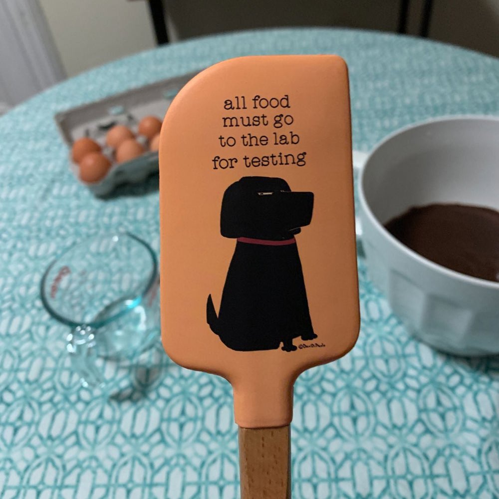 Funny Spatulas with Cute Sayings - 20 Styles to Choose From, Stocking Stuffer, Kitchen Gift, Housewarming