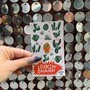 Lookin' Sharp Cactus Cute Enamel Pins on Giftable Cards - 20+ Styles Available