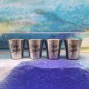 Party Starter (4 Identical Shot Glasses) Set of 4 Metal Shot Glasses in a Gift Bag - 2 Style Options - Stainless Steel Silver Mini Cups Gift Set