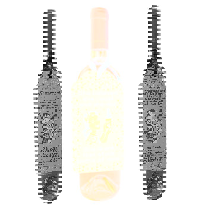 Cute Wine Bottle Gift Tags for Gifting Wine | Reusable Holiday Funny Saying Gift Hangers