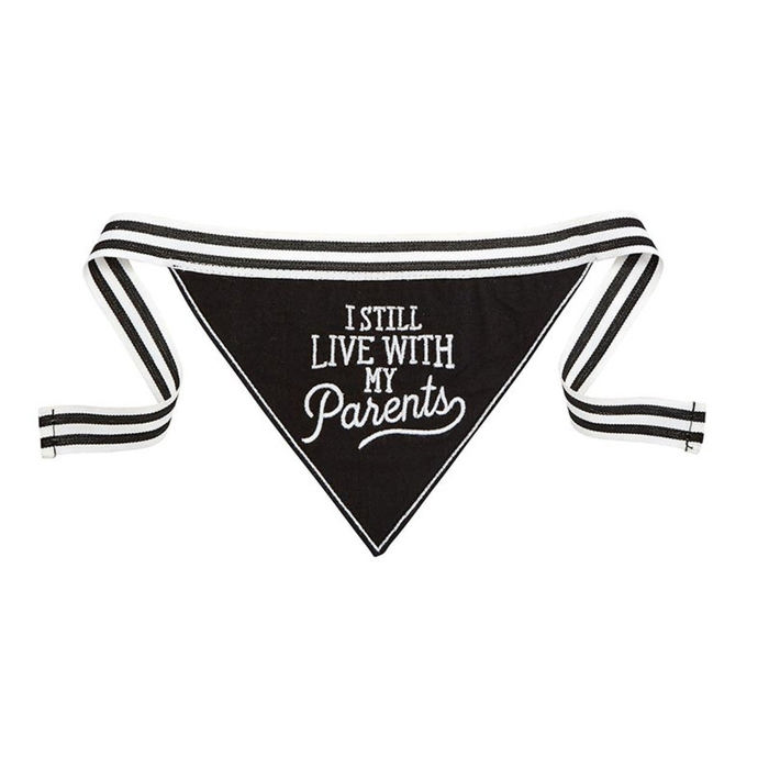 Cute Dog Pet Bandanas with Funny Sayings - Dog Lover Cat Lover Cute Stocking Stuffer Gift