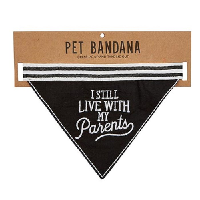 Cute Dog Pet Bandanas with Funny Sayings - Dog Lover Cat Lover Cute Stocking Stuffer Gift