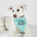 Party Animal Pet Bandana Cute Dog Pet Bandanas with Funny Sayings - Dog Lover Cat Lover Cute Stocking Stuffer Gift