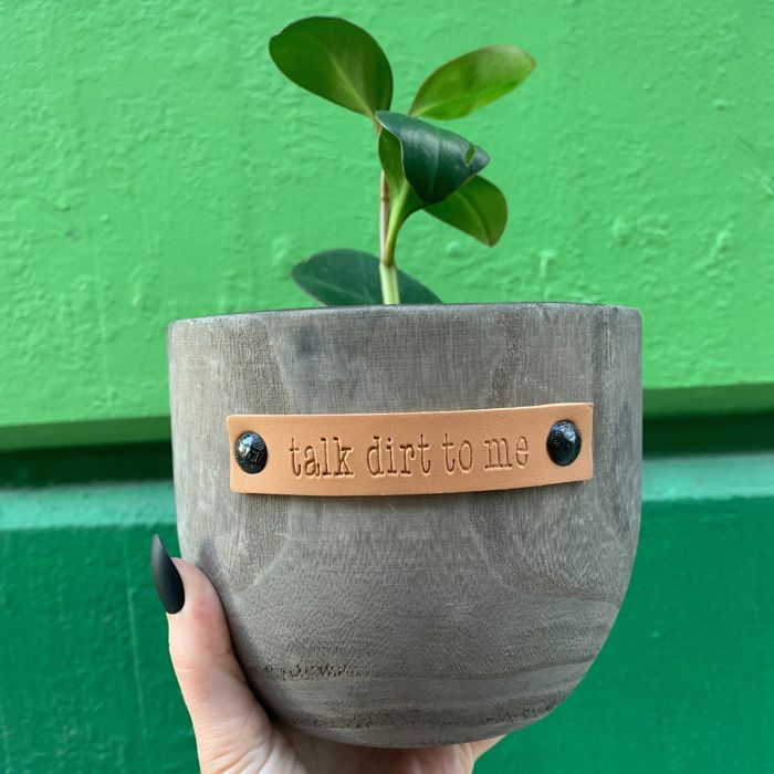 Wood Planters with Cute Sayings on Leather Tags: Late Bloomer, Flower Power, I Will Survive