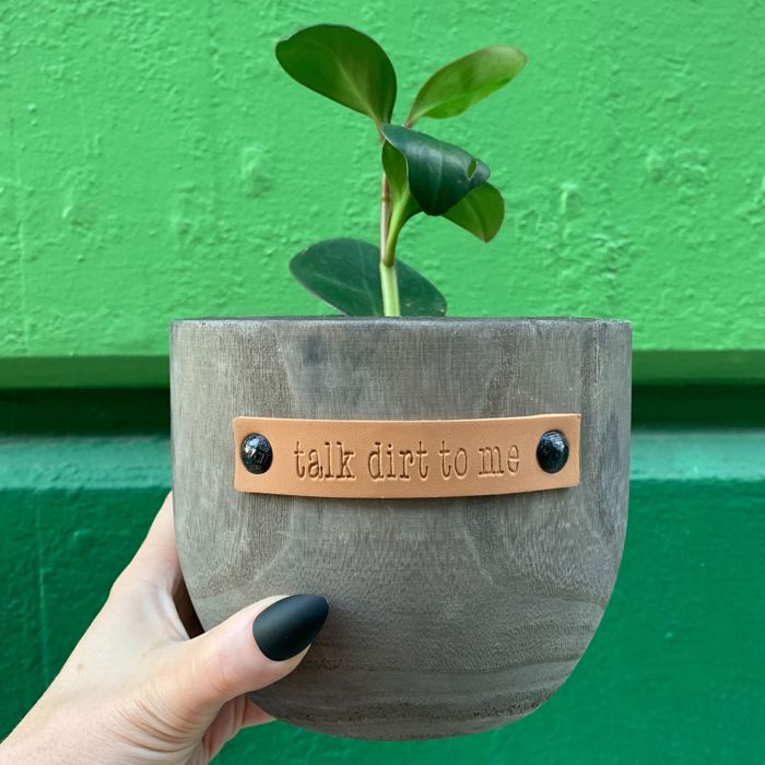 Wood Planters with Cute Sayings on Leather Tags: Late Bloomer, Flower Power, I Will Survive