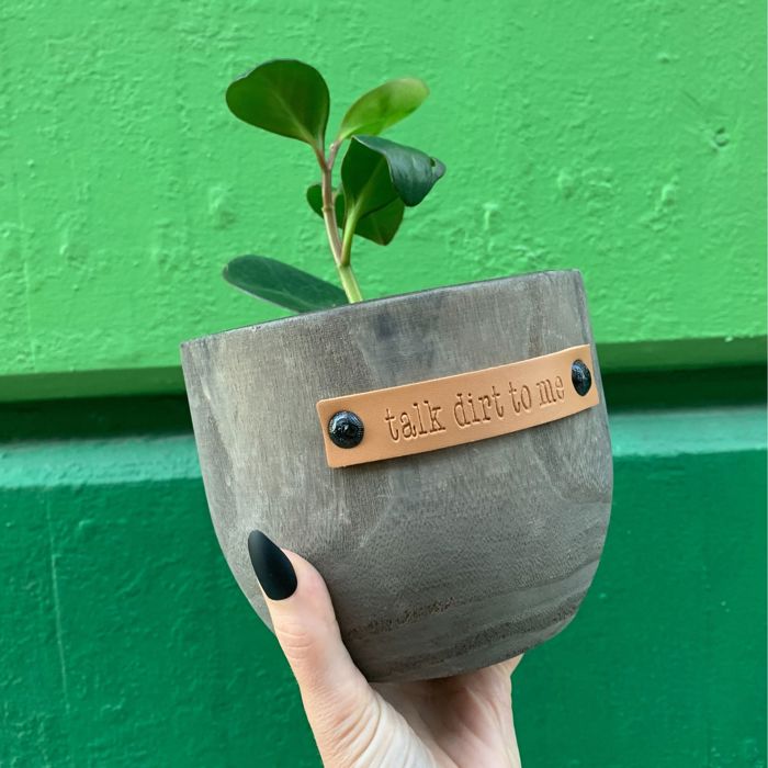 Wood Planters with Cute Sayings on Leather Tags: Late Bloomer, Flower Power, I Will Survive