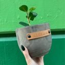 Talk Dirt to Me Wood Planters with Cute Sayings on Leather Tags: Late Bloomer, Flower Power, I Will Survive