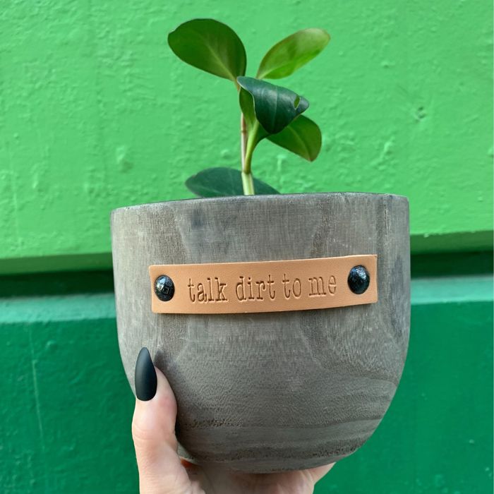 Wood Planters with Cute Sayings on Leather Tags: Late Bloomer, Flower Power, I Will Survive