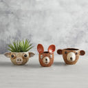 Bear Face Planter - Small | Ceramic Succulents Pot | Cute Animal Design  | 4" Tall Animal Shaped Plant Pots - Fish, Zebra, Walrus, Giraffe, Hedgehog, Llama and more