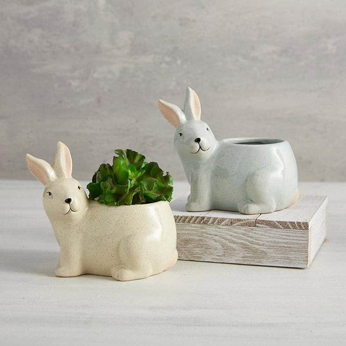 Animal Shaped Plant Pots - Fish, Zebra, Walrus, Giraffe, Hedgehog, Llama and more