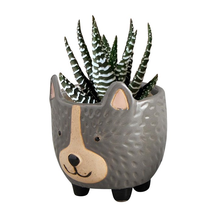 Animal Shaped Plant Pots - Fish, Zebra, Walrus, Giraffe, Hedgehog, Llama and more