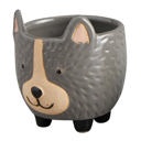 Hedgehog Pot | Decorative Ceramic Planter | Mini Animal Shaped Pot for Succulents/Small Plants Animal Shaped Plant Pots - Fish, Zebra, Walrus, Giraffe, Hedgehog, Llama and more