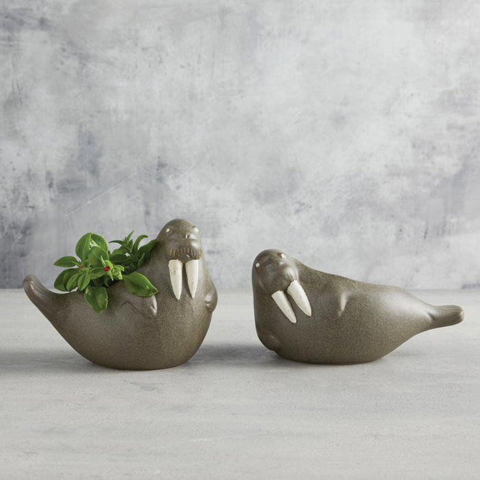 Animal Shaped Plant Pots - Fish, Zebra, Walrus, Giraffe, Hedgehog, Llama and more