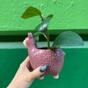 Purple Llama Pot |  Alpaca Ceramic Planter Animal Shaped | Planter For Succulents/Small Plants | 5"  Animal Shaped Plant Pots - Fish, Zebra, Walrus, Giraffe, Hedgehog, Llama and more