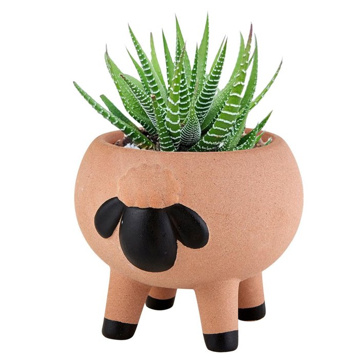 Animal Shaped Plant Pots - Fish, Zebra, Walrus, Giraffe, Hedgehog, Llama and more