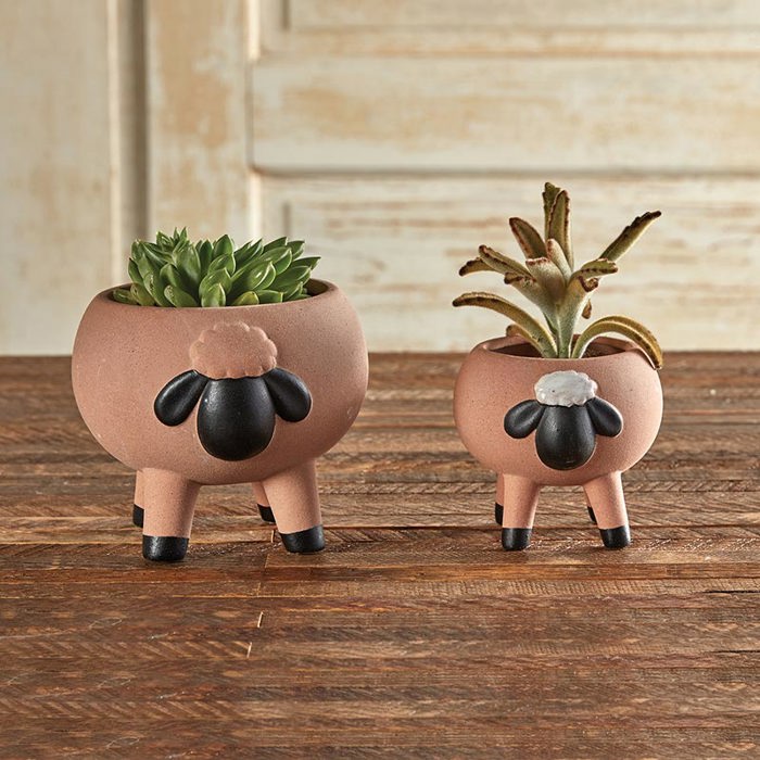 Animal Shaped Plant Pots - Fish, Zebra, Walrus, Giraffe, Hedgehog, Llama and more