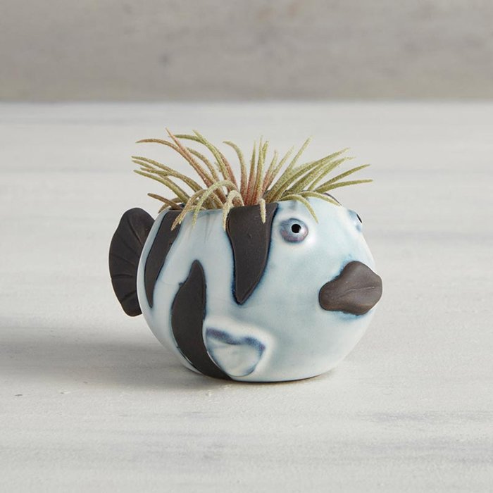 Animal Shaped Plant Pots - Fish, Zebra, Walrus, Giraffe, Hedgehog, Llama and more