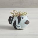 Striped Fish Mini Plant Pot | Decorative Animal Shape Succulent Planter | 2.2" Tall Animal Shaped Plant Pots - Fish, Zebra, Walrus, Giraffe, Hedgehog, Llama and more