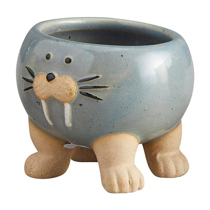 Animal Shaped Plant Pots - Fish, Zebra, Walrus, Giraffe, Hedgehog, Llama and more