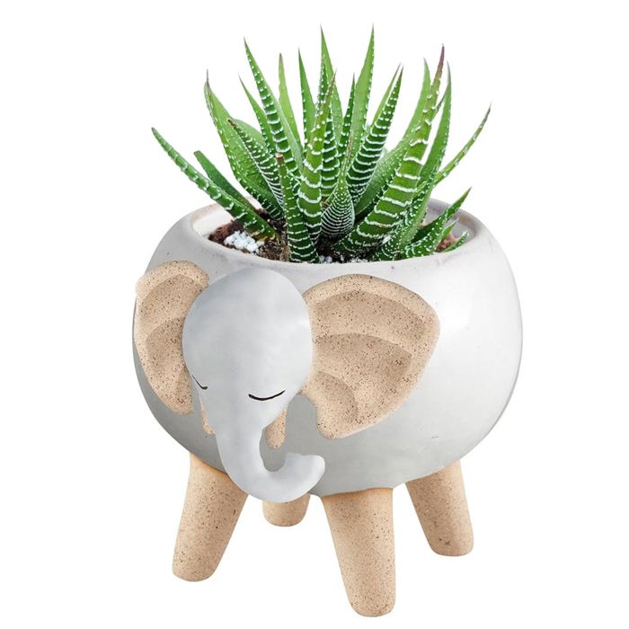 Animal Shaped Plant Pots - Fish, Zebra, Walrus, Giraffe, Hedgehog, Llama and more