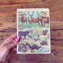 Vintage Zoologica Double-Sided Journal | " Another Day Another Adventure" Wild Animals Notebook Pretty Bound Journals - Giftable Notebooks in 12+ Styles | Double-Sided Journal