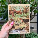 Vintage Zoologica Double-Sided Journal | " Another Day Another Adventure" Wild Animals Notebook Pretty Bound Journals - Giftable Notebooks in 12+ Styles | Double-Sided Journal
