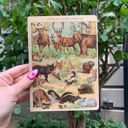 Vintage Zoologica Double-Sided Journal | " Another Day Another Adventure" Wild Animals Notebook Pretty Bound Journals - Giftable Notebooks in 12+ Styles | Double-Sided Journal