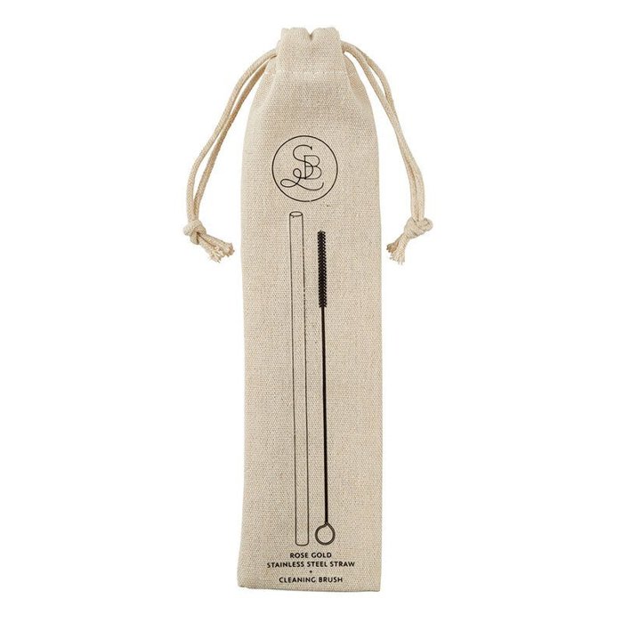 Stainless Steel Straw And Brush Set in Bag | Eco-Friendly and Reusable 