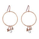 Rose Gold Dangle Hoops Earrings | Gemstones Jewelry Dangle Hoop Gem Earrings - 6 Color Options |  Cut Glass Gemstones Fashion Jewelry