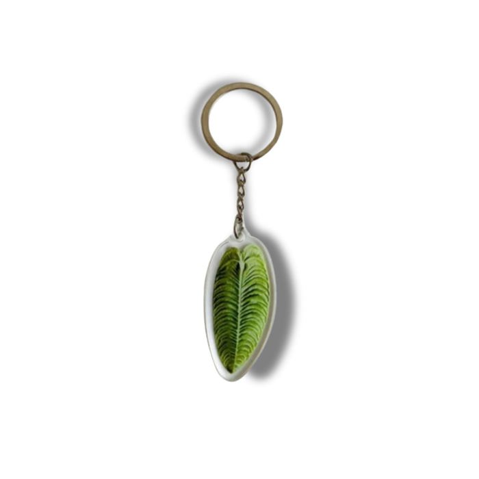 Leaf Acrylic Keychain | 6 Illustrated Styles | Double-Sided Design