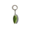 Skinny Leaf Leaf Acrylic Keychain | 6 Illustrated Styles | Double-Sided Design