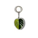 Half and Half Leaf Leaf Acrylic Keychain | 6 Illustrated Styles | Double-Sided Design