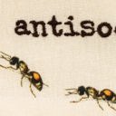 Antisocial Ant Animal Puns Embroidered Tea and Dish Towels | Linen Novelty Kitchen Towels