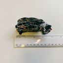 Dark Panther Velvet Claws Squirrel Holding Acorn Hair Claw