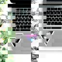 Born in the 1900s Individual Vinyl Stickers for Water Bottle, Tumbler, Laptop Case - Funny and Cute Designs