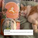 Orange Cat Energy Individual Vinyl Stickers for Water Bottle, Tumbler, Laptop Case - Funny and Cute Designs