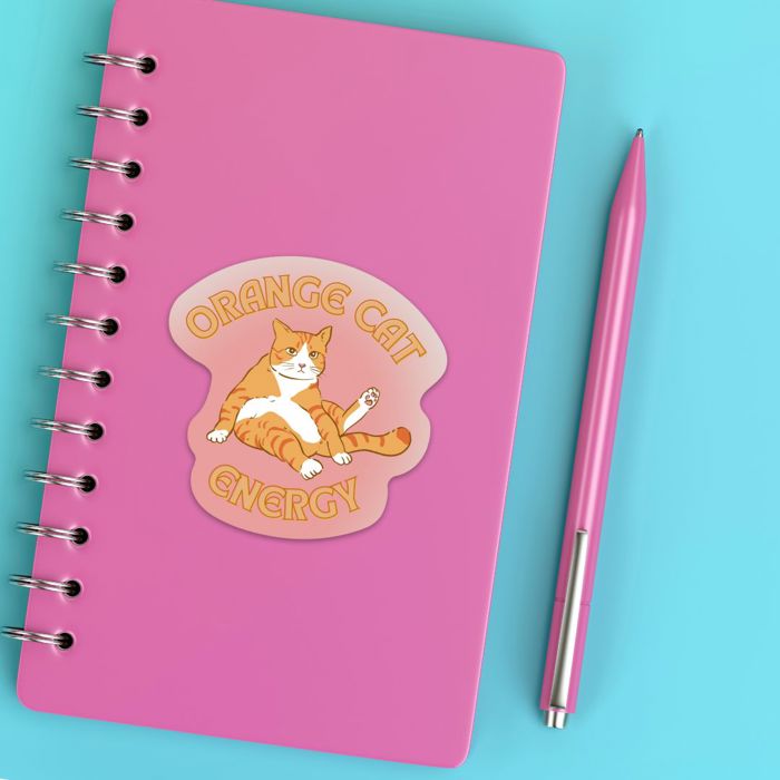 Individual Vinyl Stickers for Water Bottle, Tumbler, Laptop Case - Funny and Cute Designs