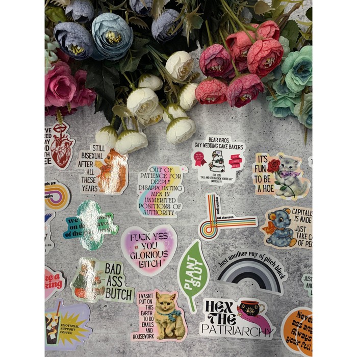 Individual Vinyl Stickers for Water Bottle, Tumbler, Laptop Case - Funny and Cute Designs