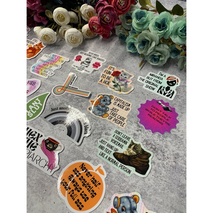 Individual Vinyl Stickers for Water Bottle, Tumbler, Laptop Case - Funny and Cute Designs