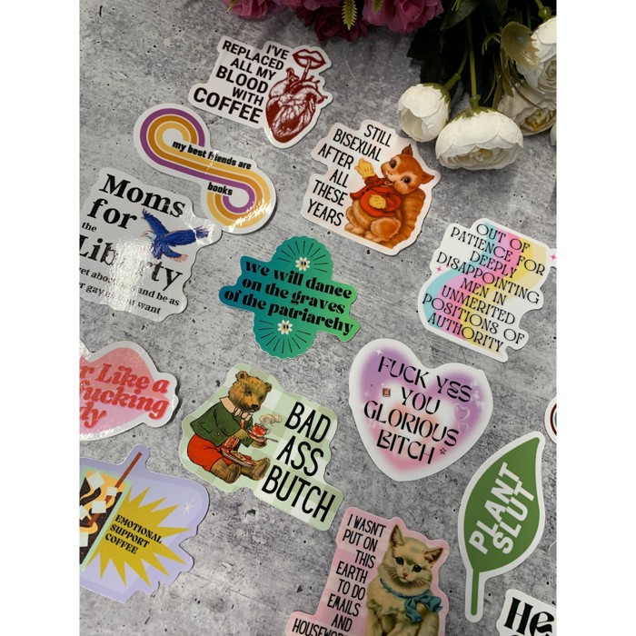 Individual Vinyl Stickers for Water Bottle, Tumbler, Laptop Case - Funny and Cute Designs