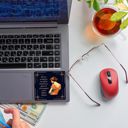 Glass of Champagne and a Billion Dollars Individual Vinyl Stickers for Water Bottle, Tumbler, Laptop Case - Funny and Cute Designs