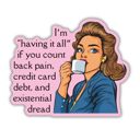I'm Having It All Retro Individual Vinyl Stickers for Water Bottle, Tumbler, Laptop Case - Funny and Cute Designs