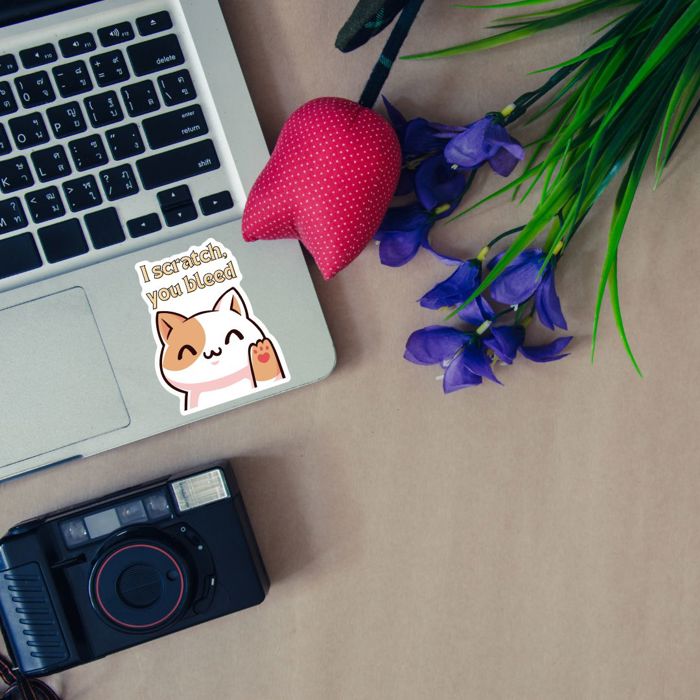 Individual Vinyl Stickers for Water Bottle, Tumbler, Laptop Case - Funny and Cute Designs